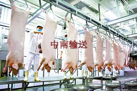 屠宰生產(chǎn)線 屠宰生產(chǎn)線